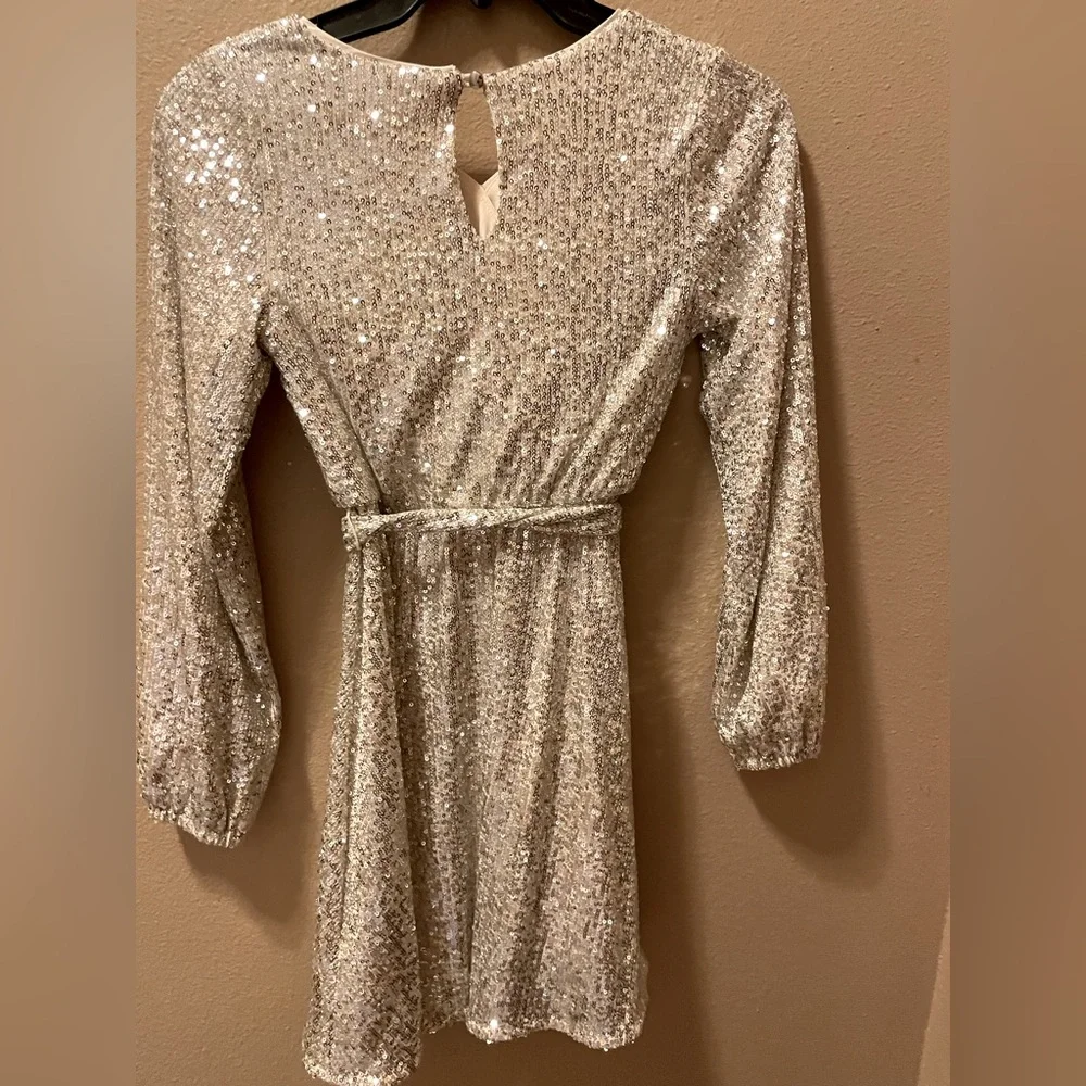 Gold/Silver Sequin Dress - Picture 2 of 2